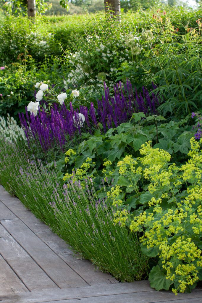 Perenner i grön, vitt och violett. I grundkursen om trädgårdsdesign är en av nycklarna hur grönska planeras in i trädgården.